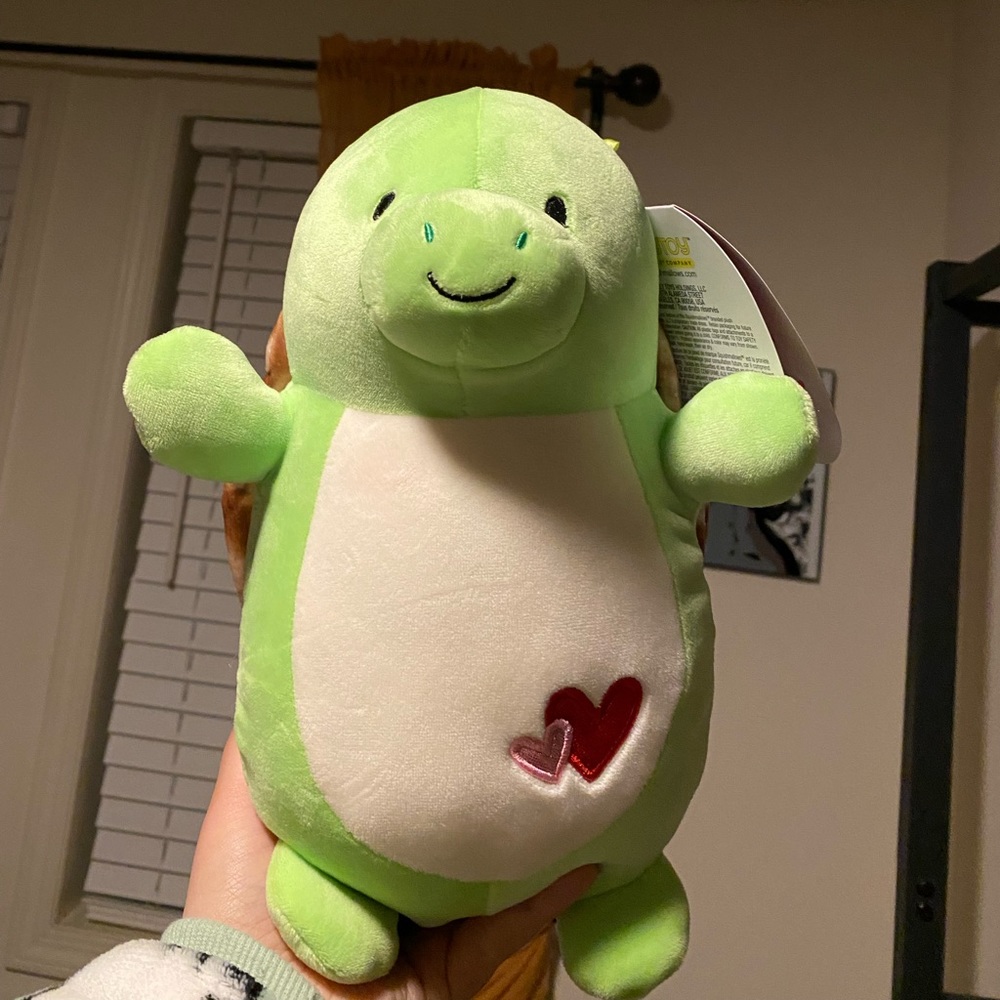 10” Hugmees Antoni the Turtle